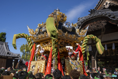 灘のけんか祭り④