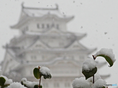 雪の姫路城②