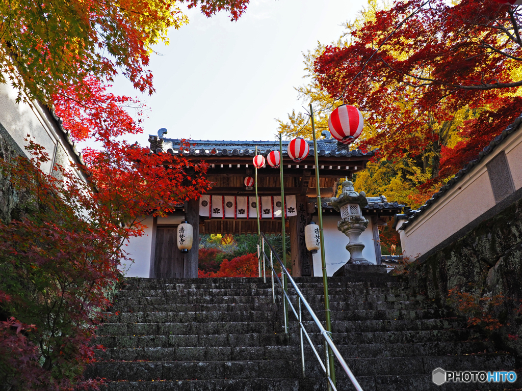 清林寺①
