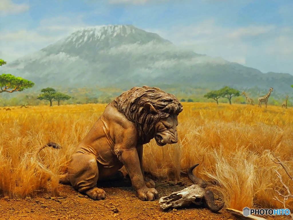 百獣の王