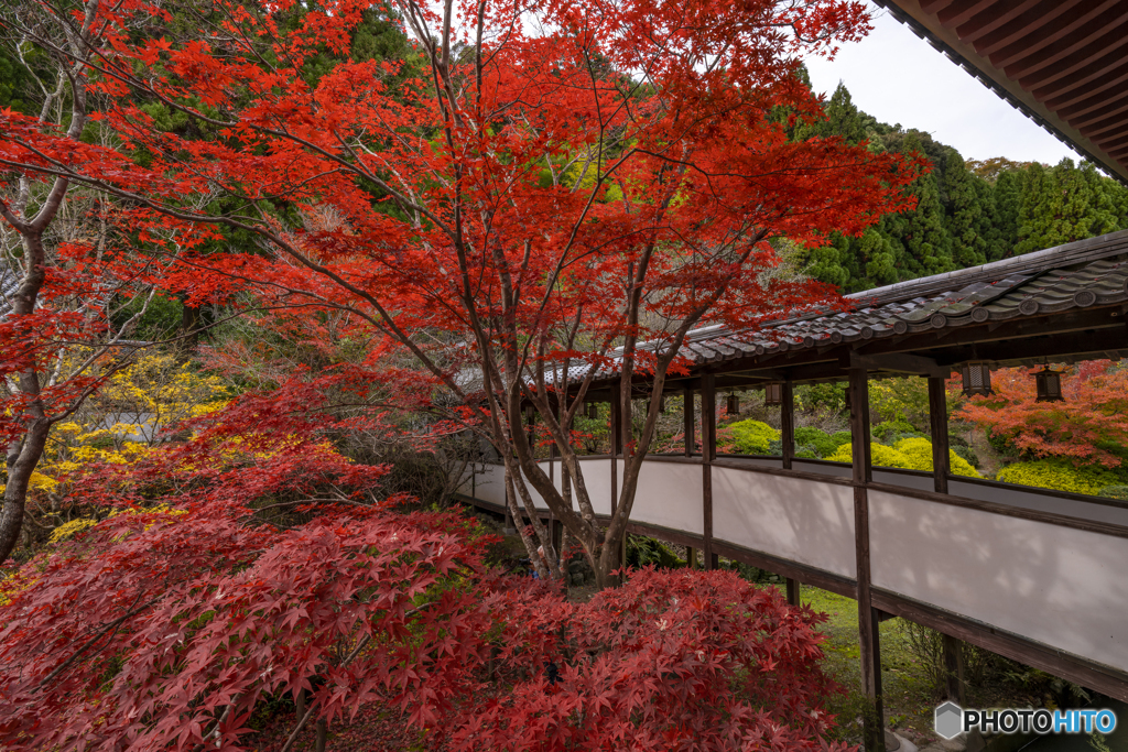 久安寺③