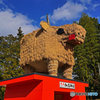 安志加茂神社