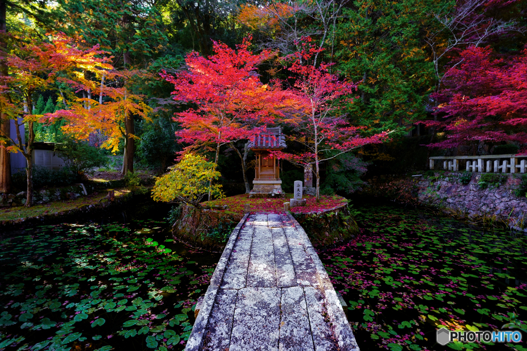 八徳山八葉寺②