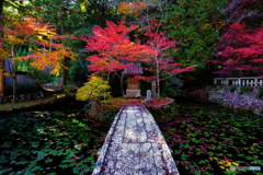 八徳山八葉寺②