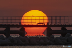 夕日①