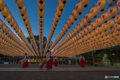 姫路護国神社②