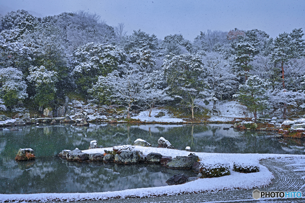うっすら雪化粧⑦