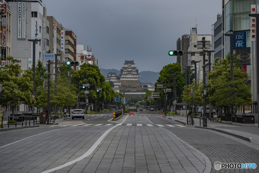 早朝散歩①