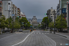 早朝散歩①