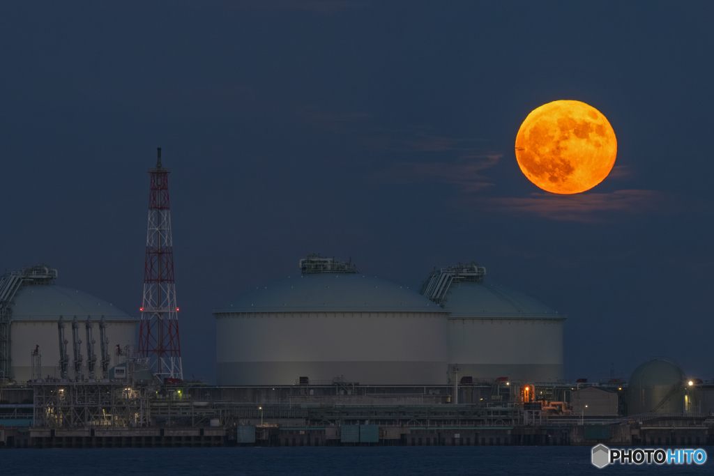 中島埠頭②