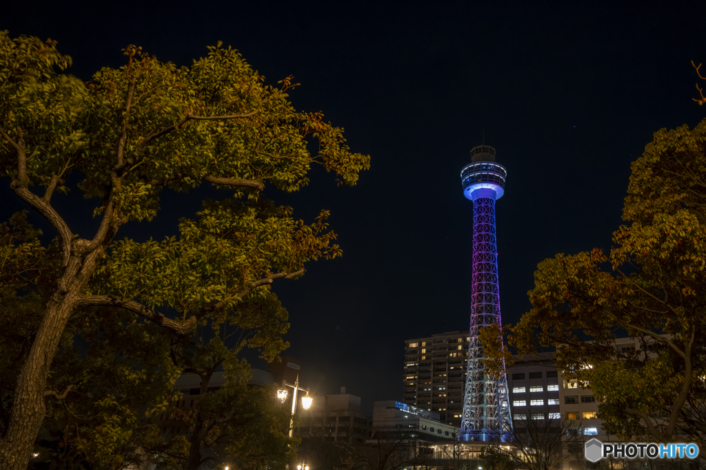 みなとみらいの夜景②