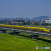 市川橋梁①