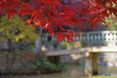 八徳山八葉寺①