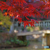 八徳山八葉寺①