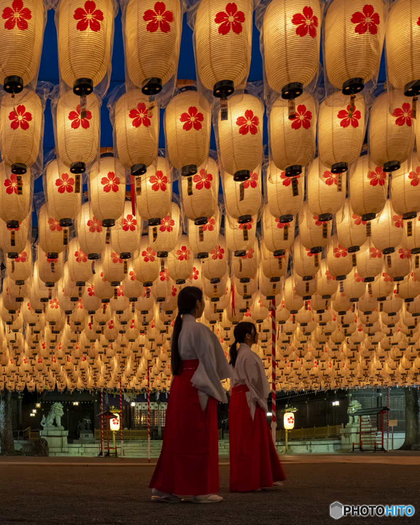 新年万灯祭　試験点灯④