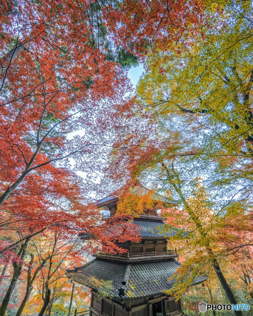高源寺⑥
