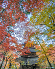 高源寺⑥