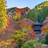 高源寺②