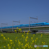 市川橋梁①