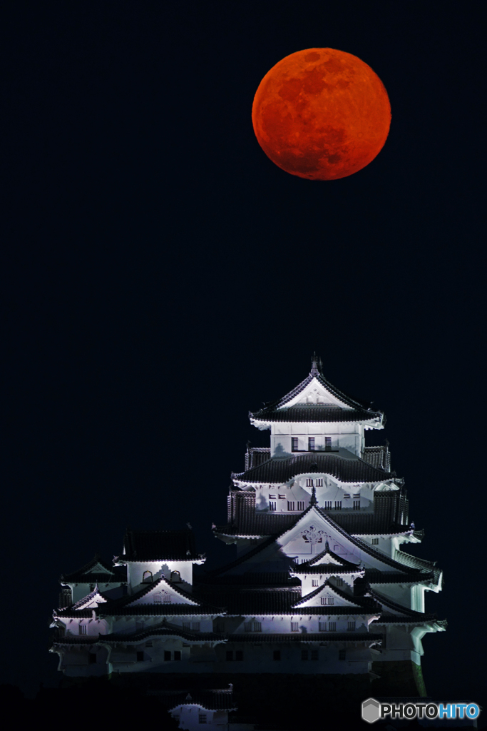 姫路城と月