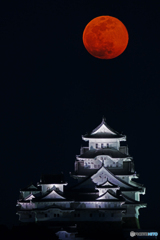 姫路城と月