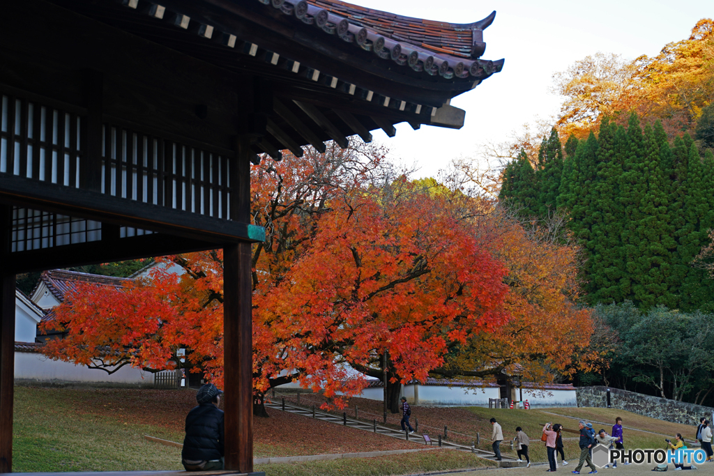 閑谷学校⑥