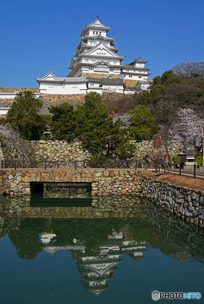 姫路城と桜Ⅰ