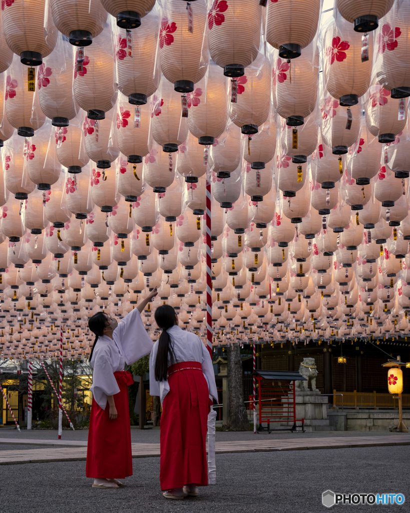 新年万灯祭　試験点灯③
