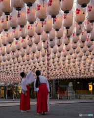 新年万灯祭　試験点灯③