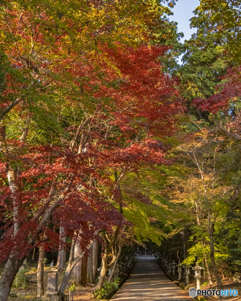 西林寺の紅葉