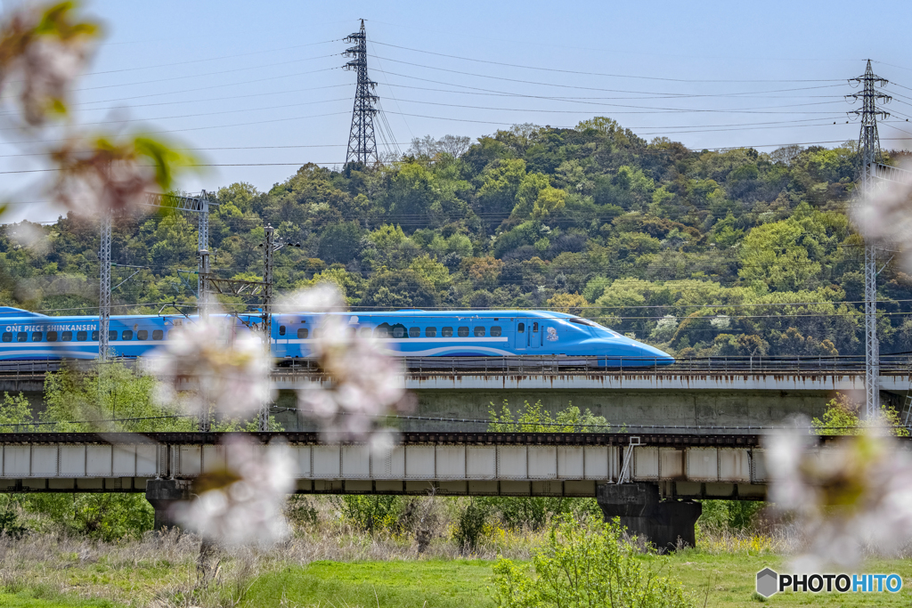 市川橋梁②