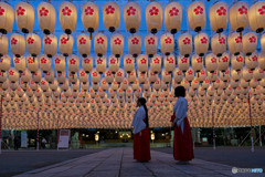 新年万灯祭　試験点灯①