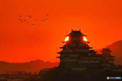 姫路城と夕日③
