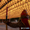 新年万灯祭③