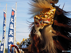 毛獅子舞⑤