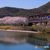 桜とスーパーはくと
