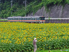 ひまわり畑と列車①