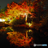 紅葉ライトアップ②