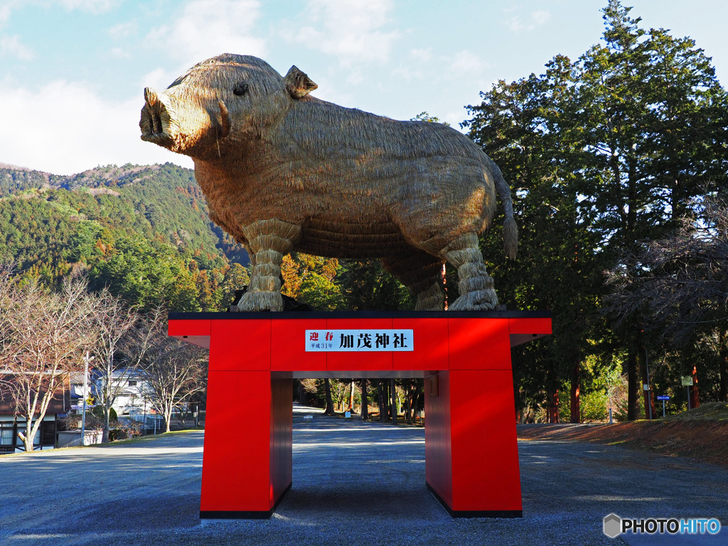 安志加茂神社①