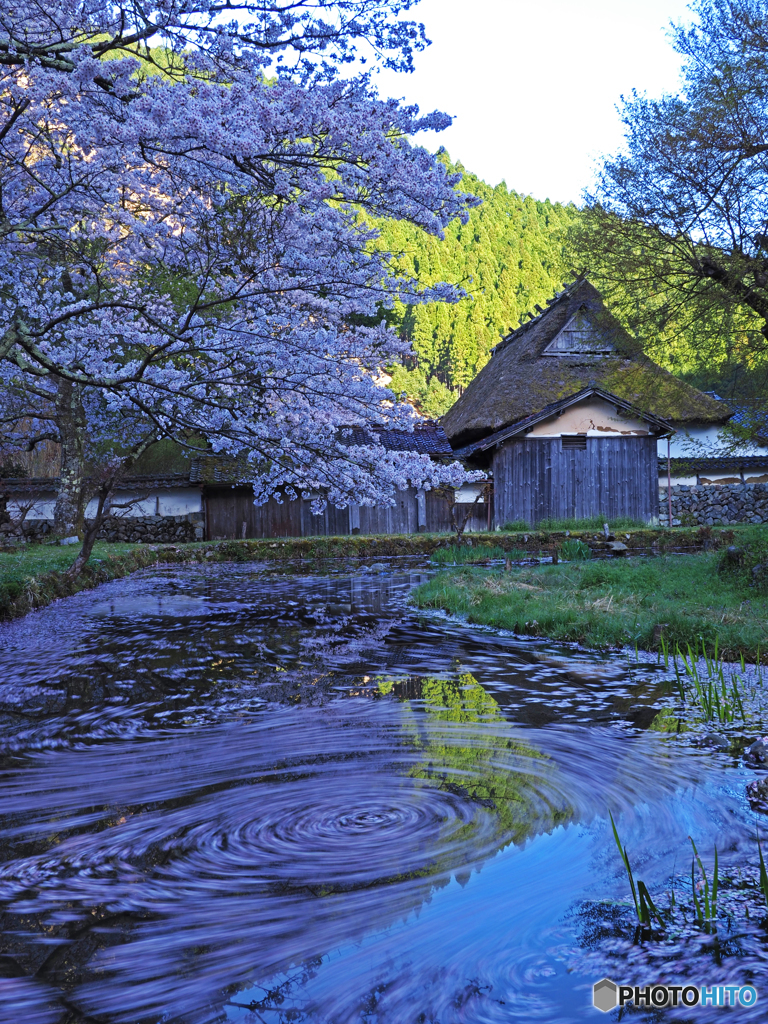 佐中の千年家②