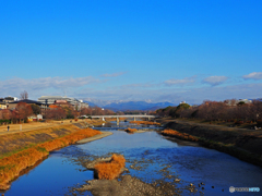 鴨川