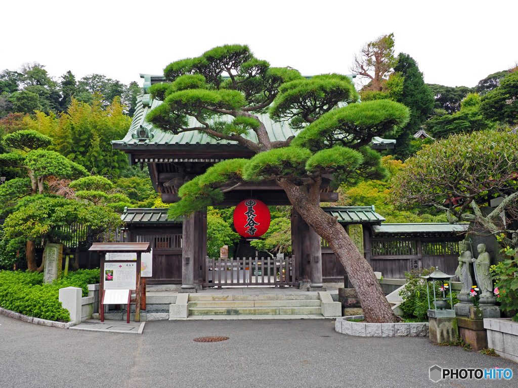 長谷寺①