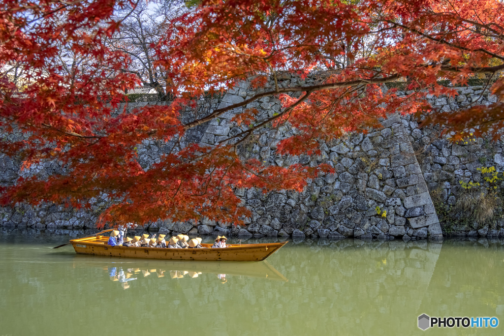 姫路城と紅葉③