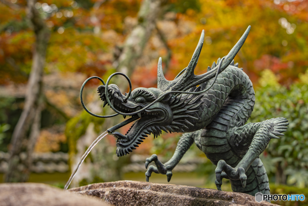 法楽寺①
