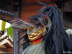 毛獅子舞③