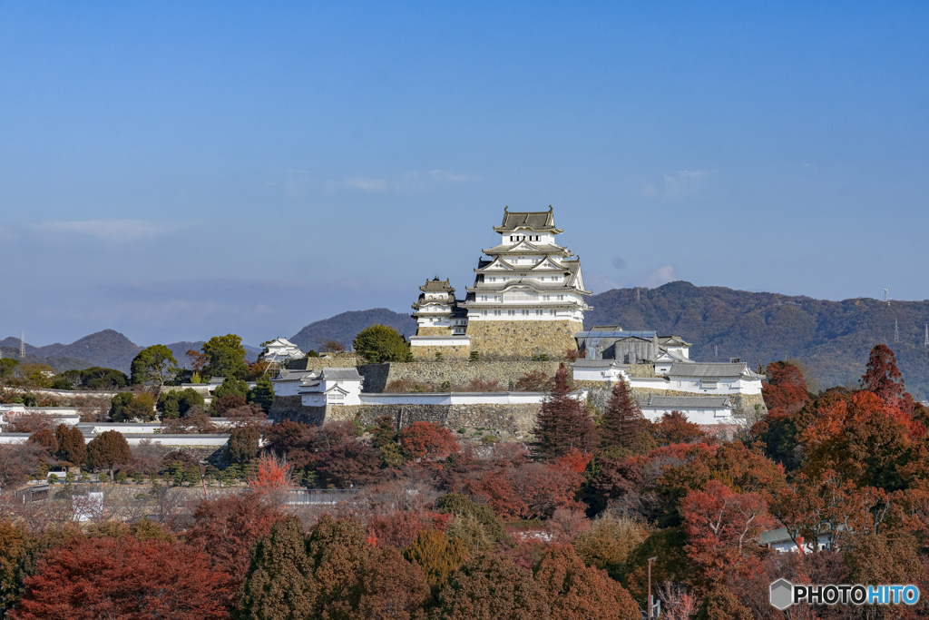 姫路城②