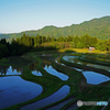 うへ山の棚田