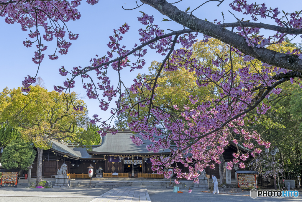 護国神社