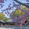 護国神社
