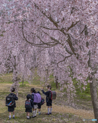 厄除八幡宮③